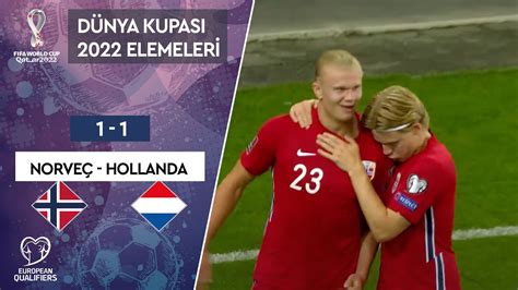 hollanda norveç maç özeti